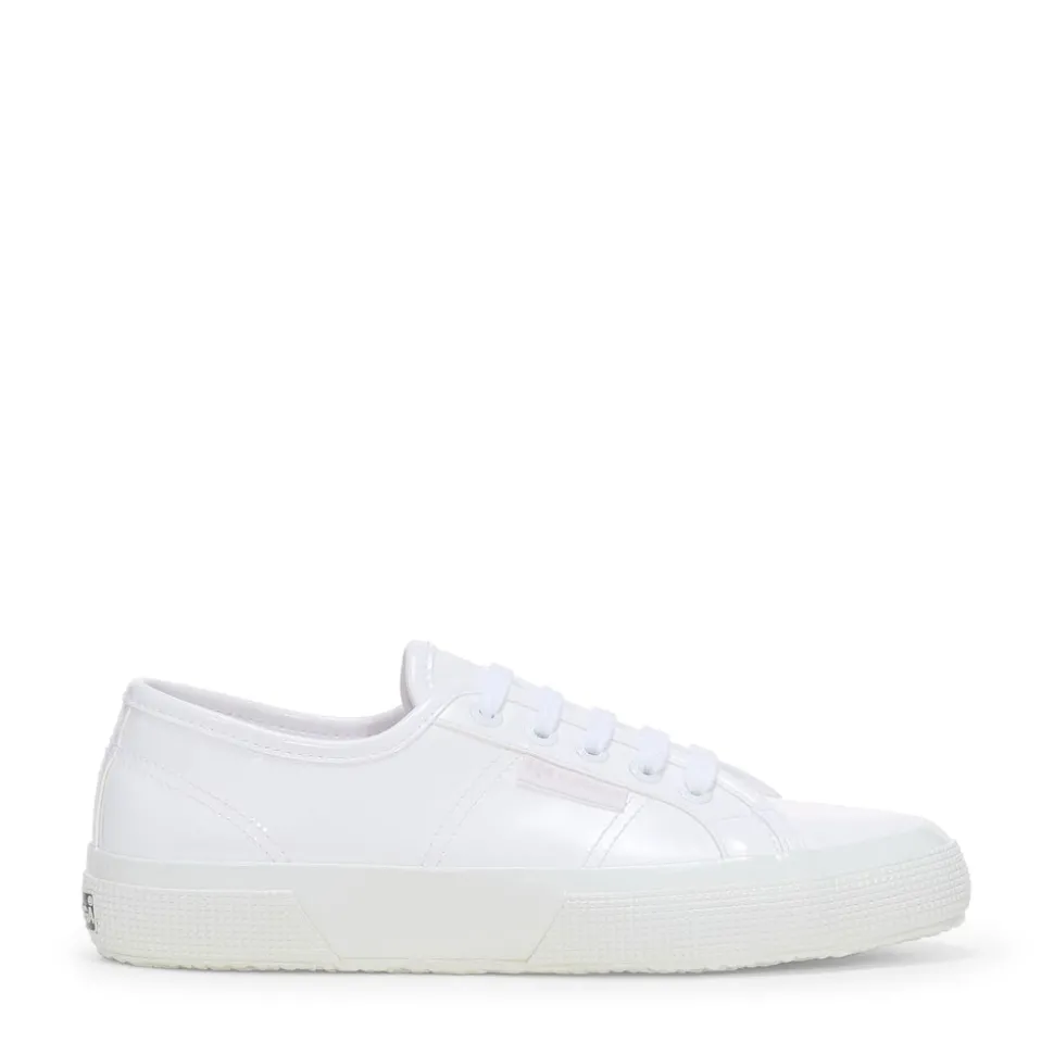 2750 VEGAN VARNISH MATERIAL
