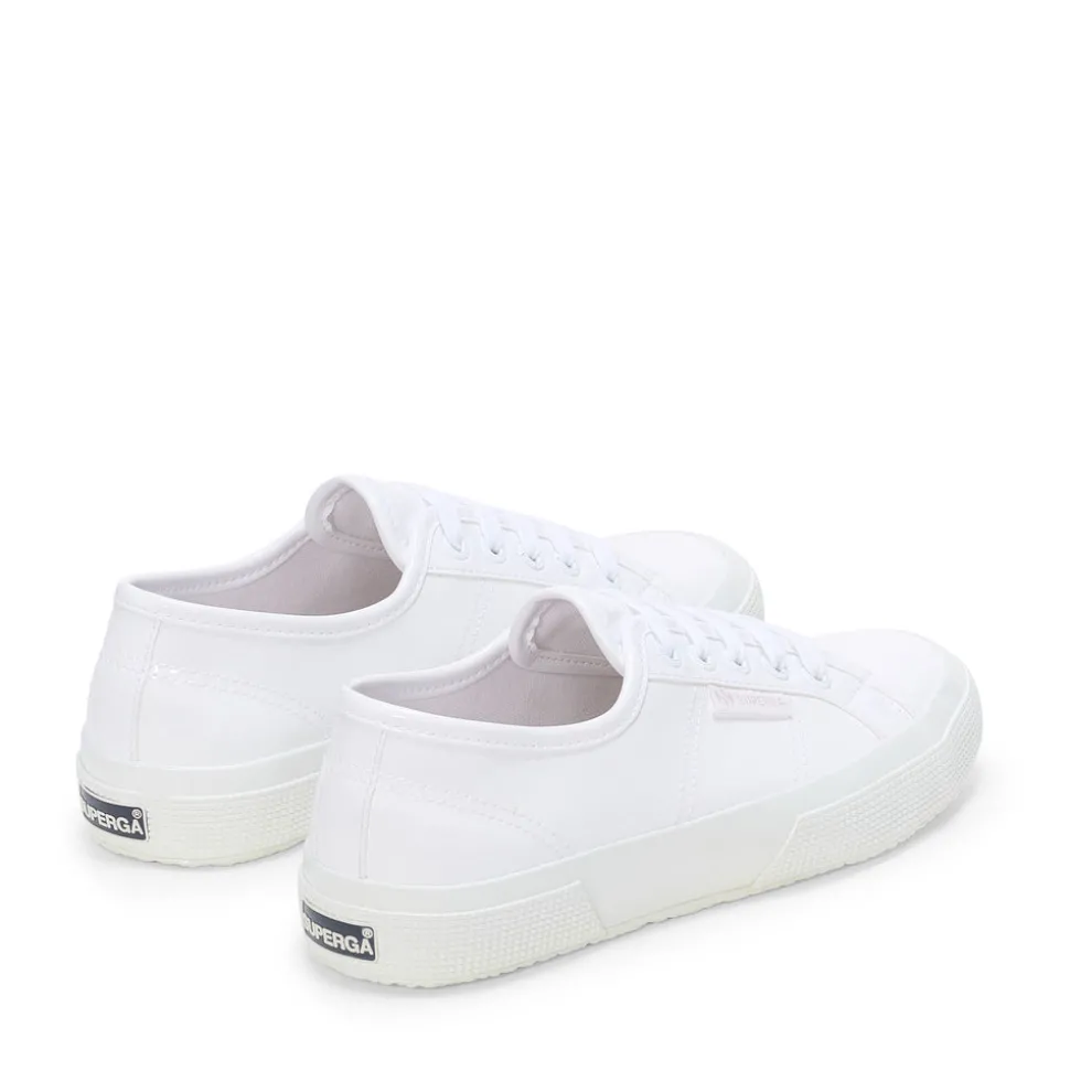 2750 VEGAN VARNISH MATERIAL